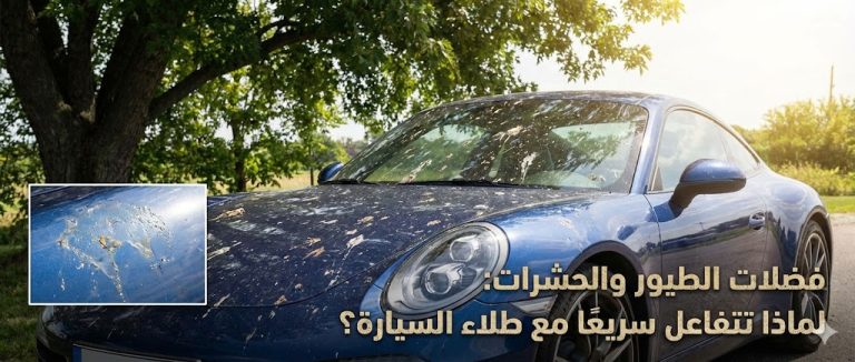 file.jpeg-2026-01-14T120230.050Z